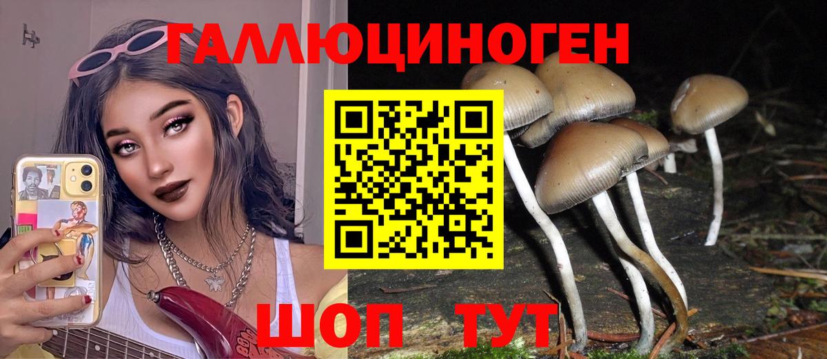 Галлюциногенные грибы прущие грибы  наркотики  Псилоцибиновые грибы ЛСД  Набережные Челны  Вход с VPN 